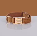 PAWSOME DOG COLLAR - #1