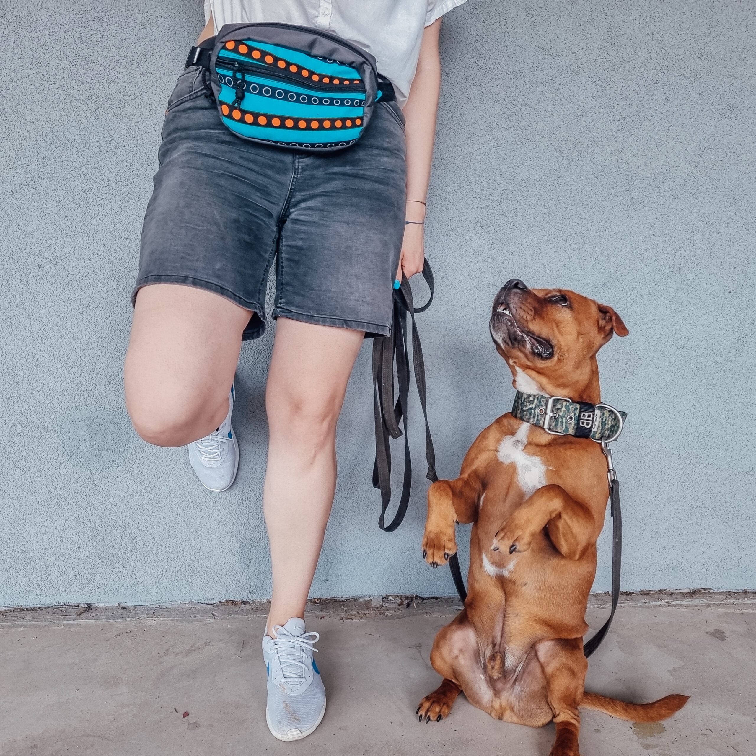 Dog treat bag TROPICS-6
