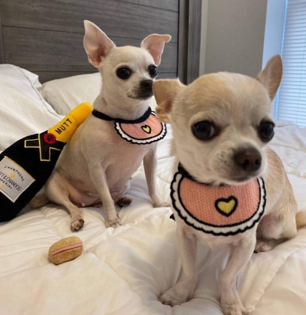 Love Pink Bibs for pets-0