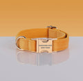 PAWSOME DOG COLLAR - #4