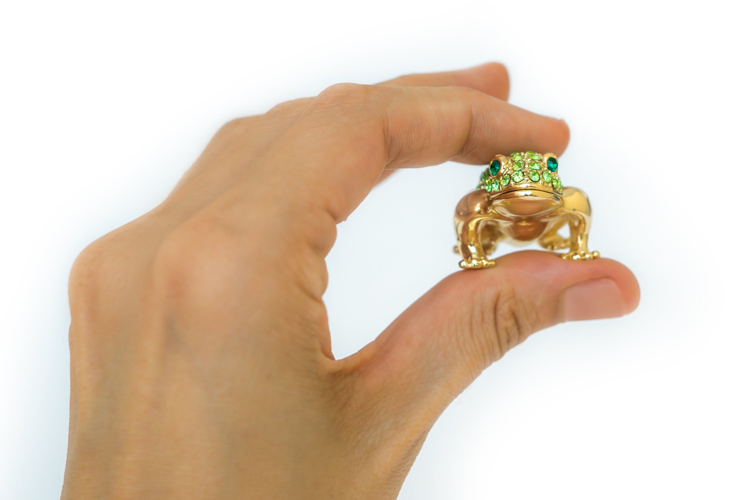 Green and Gold Sitting Toad