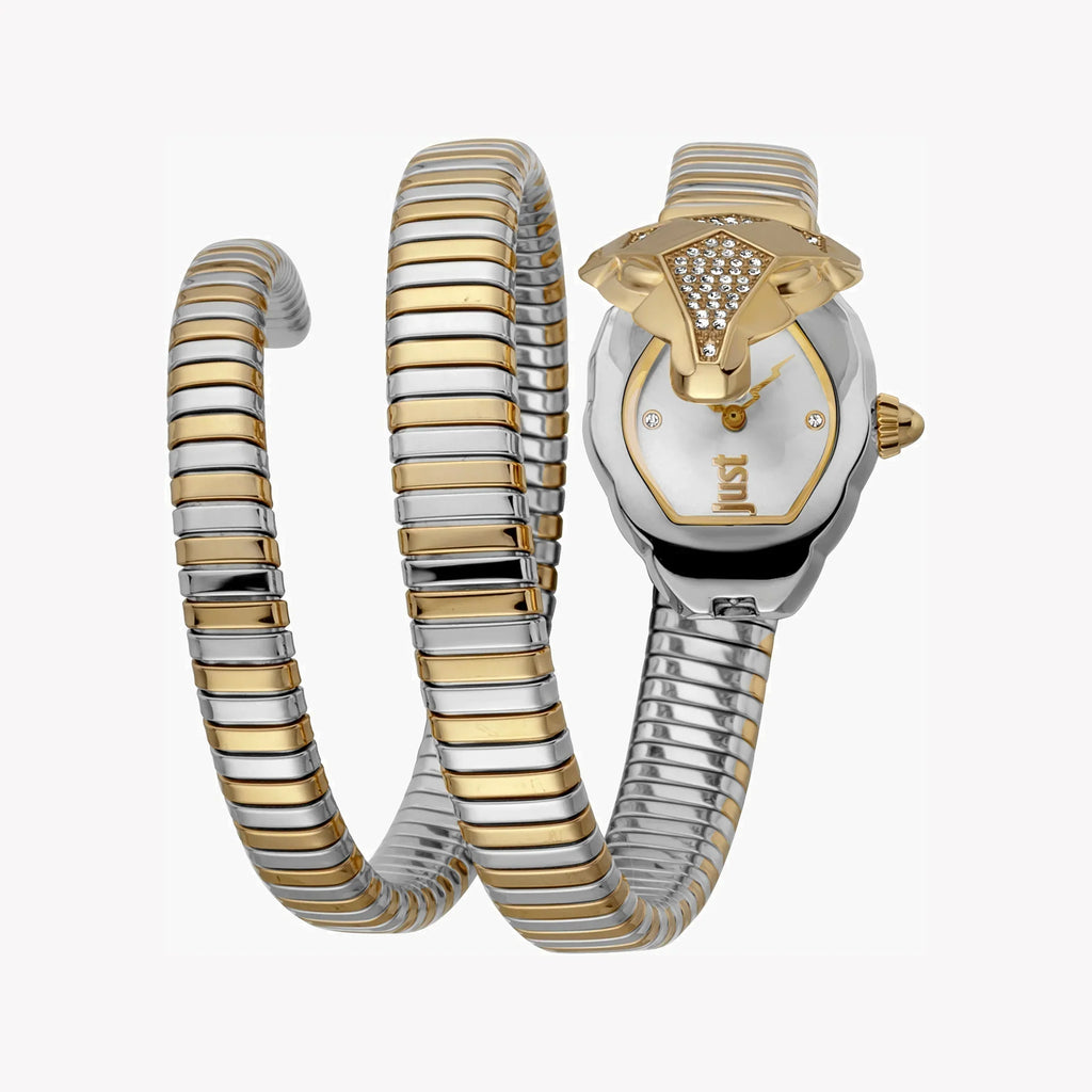 Just Cavalli Women's Silver & Gold Watch, Silver Dial | Jc1l073m0045