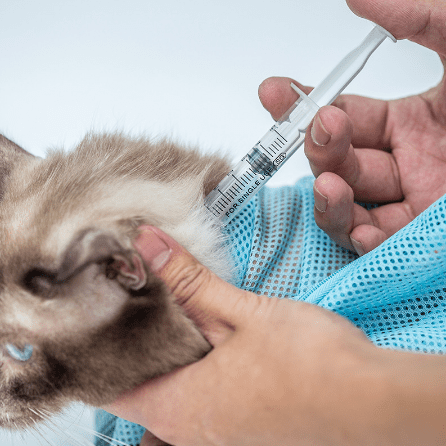 Cat Grooming and Bathing Bag-2
