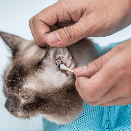 Cat Grooming and Bathing Bag-3