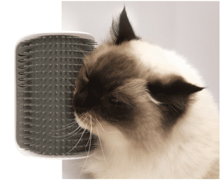 Cat Self-Grooming and Massaging Brush