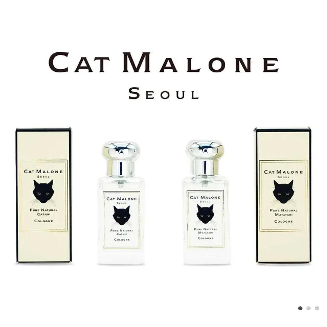 [My cat] My cat is a cute cat project "Cat Malone Seoul" Perfume-0