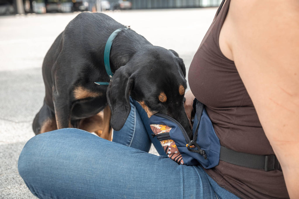 Dog treat bag TAIL OF THE WHALE