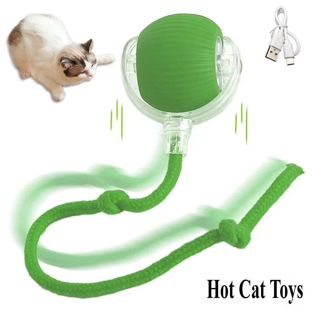 Interactive Toy Cat-0