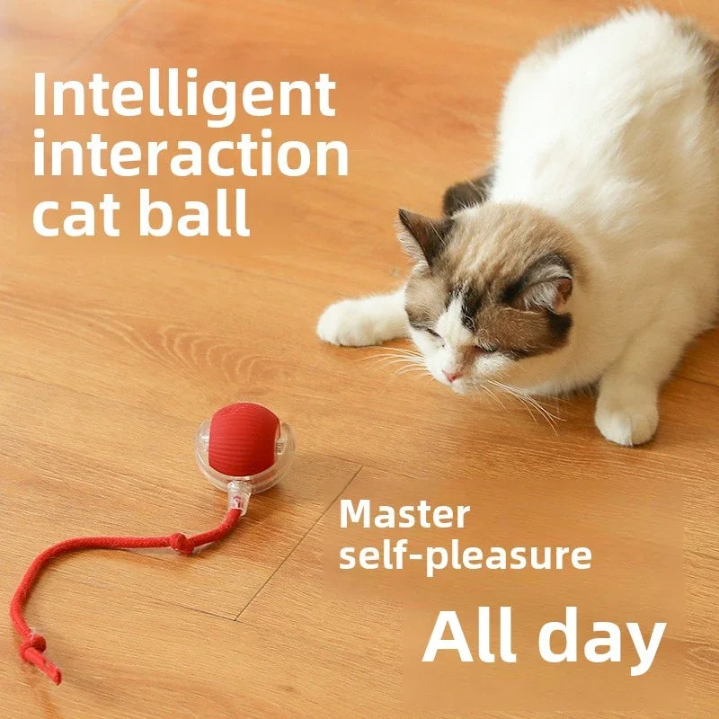 Interactive Toy Cat-1