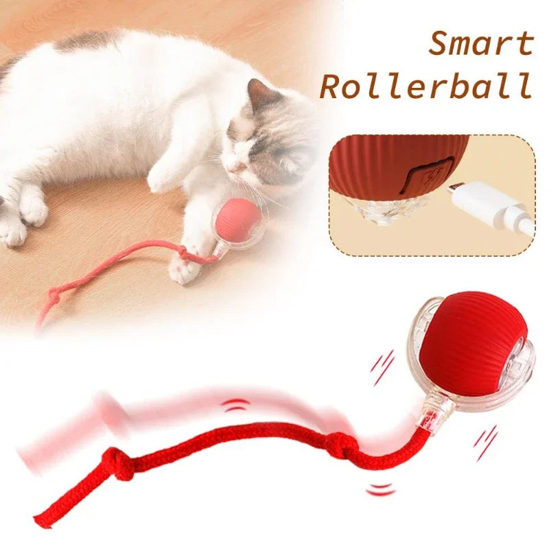 Interactive Toy Cat-2