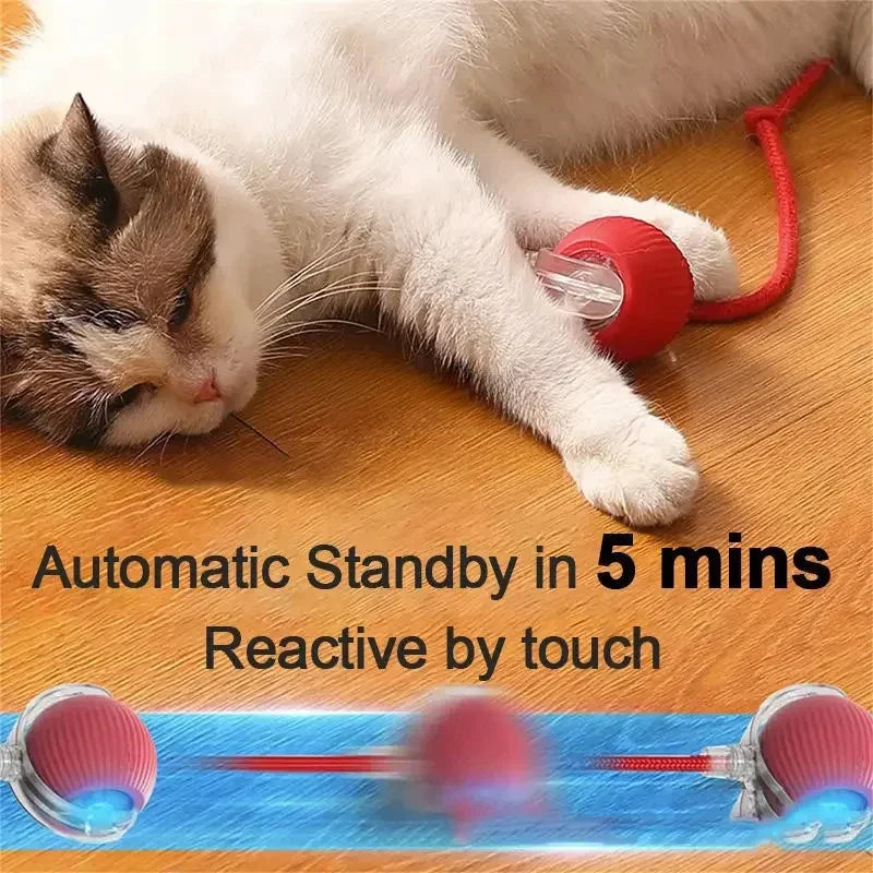Interactive Toy Cat-3