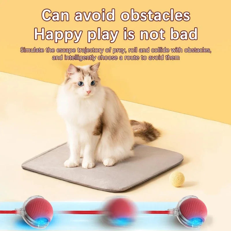Interactive Toy Cat-4