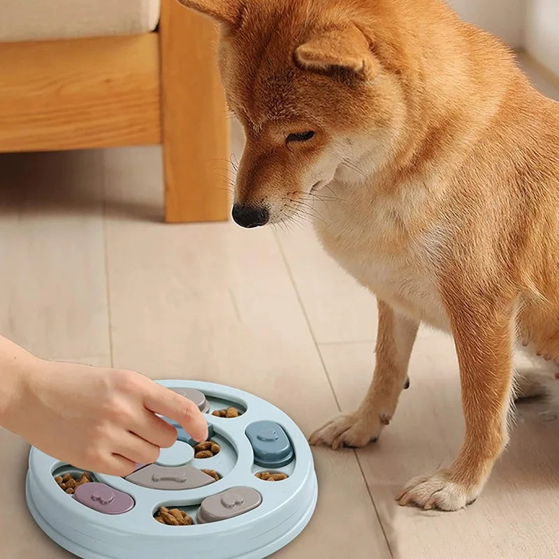 Dog Bowl