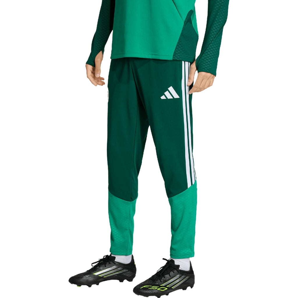 Algeria training technical soccer tracksuit 2026/27 - Adidas