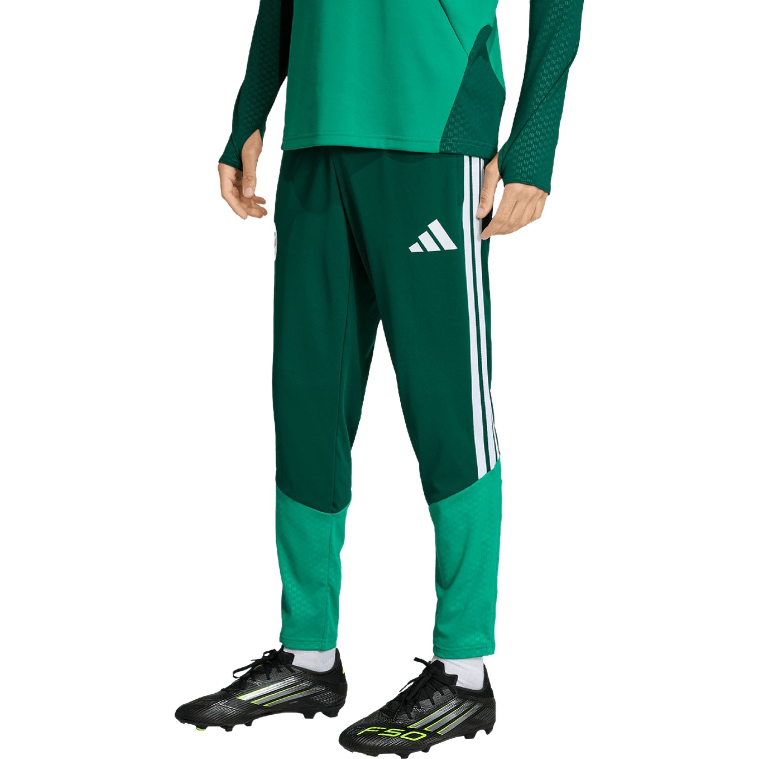 Algeria training technical soccer tracksuit 2026/27 - Adidas