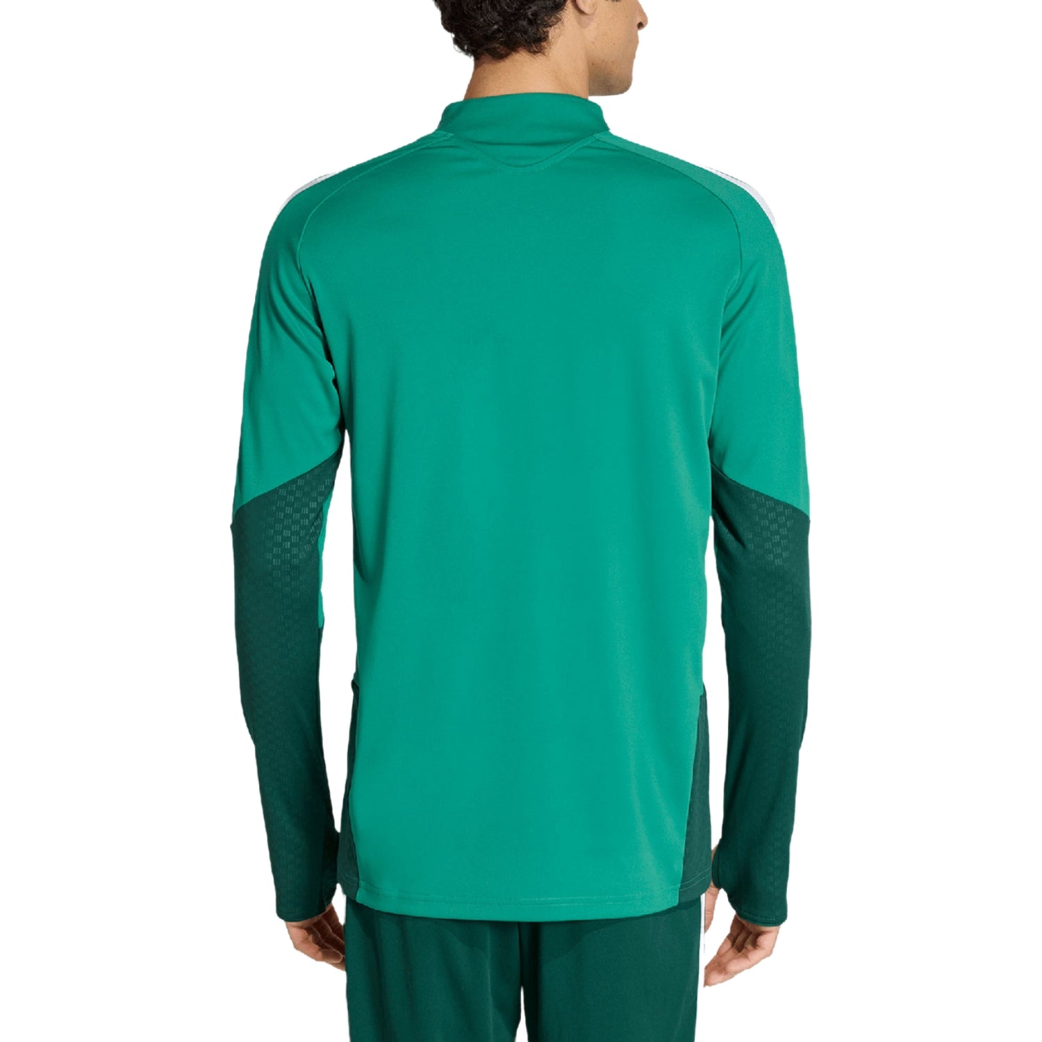 Algeria training technical soccer tracksuit 2026/27 - Adidas