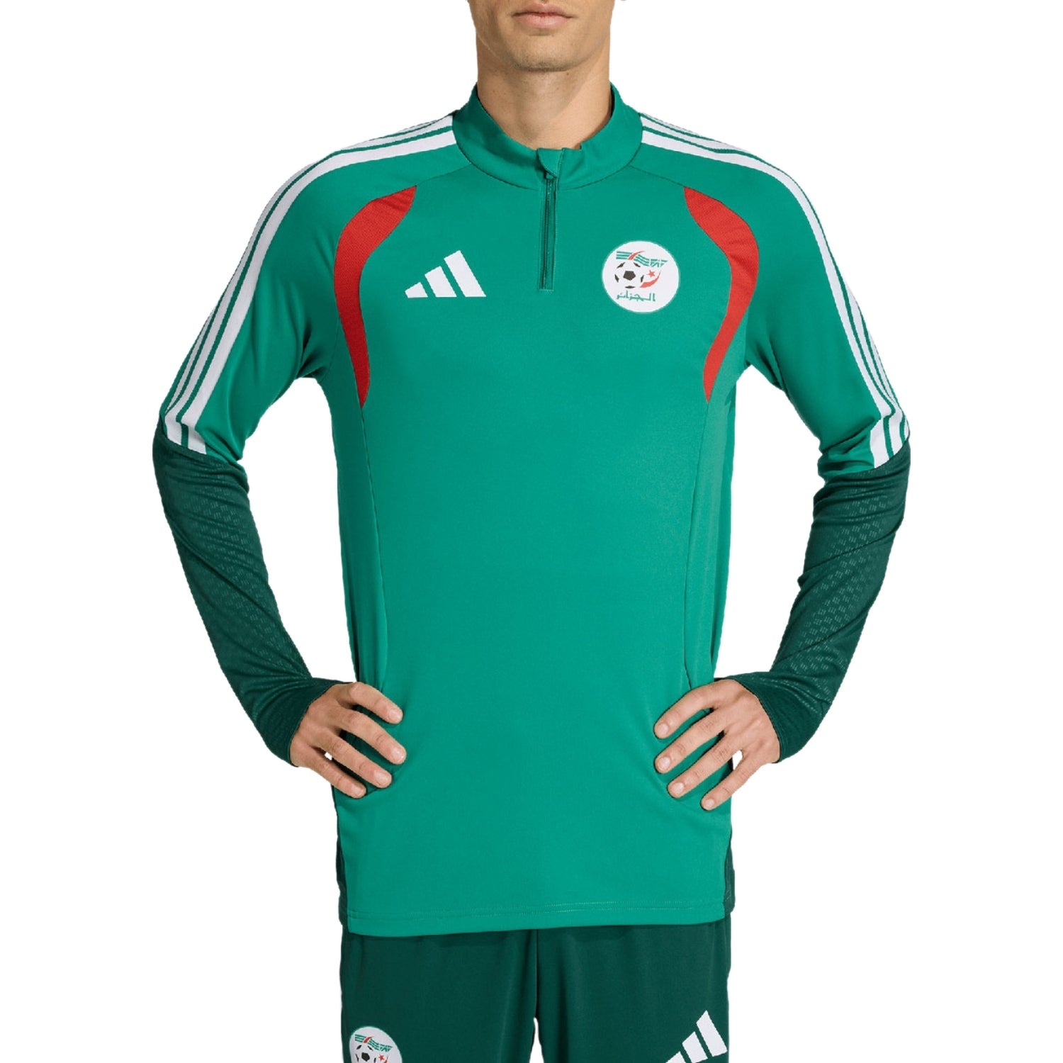 Algeria training technical soccer tracksuit 2026/27 - Adidas