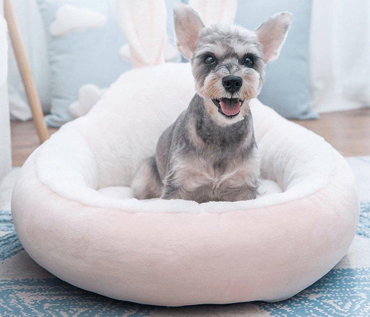 Cozy Haven Pet Nest - All-Season Cat House And Small Dog Kennel