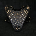 The "Gladiator" harness-0