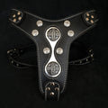 The "Hektor" harness-0