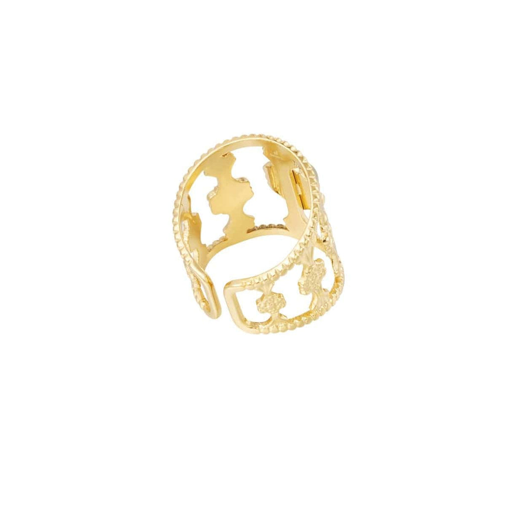 Ring Georgia
