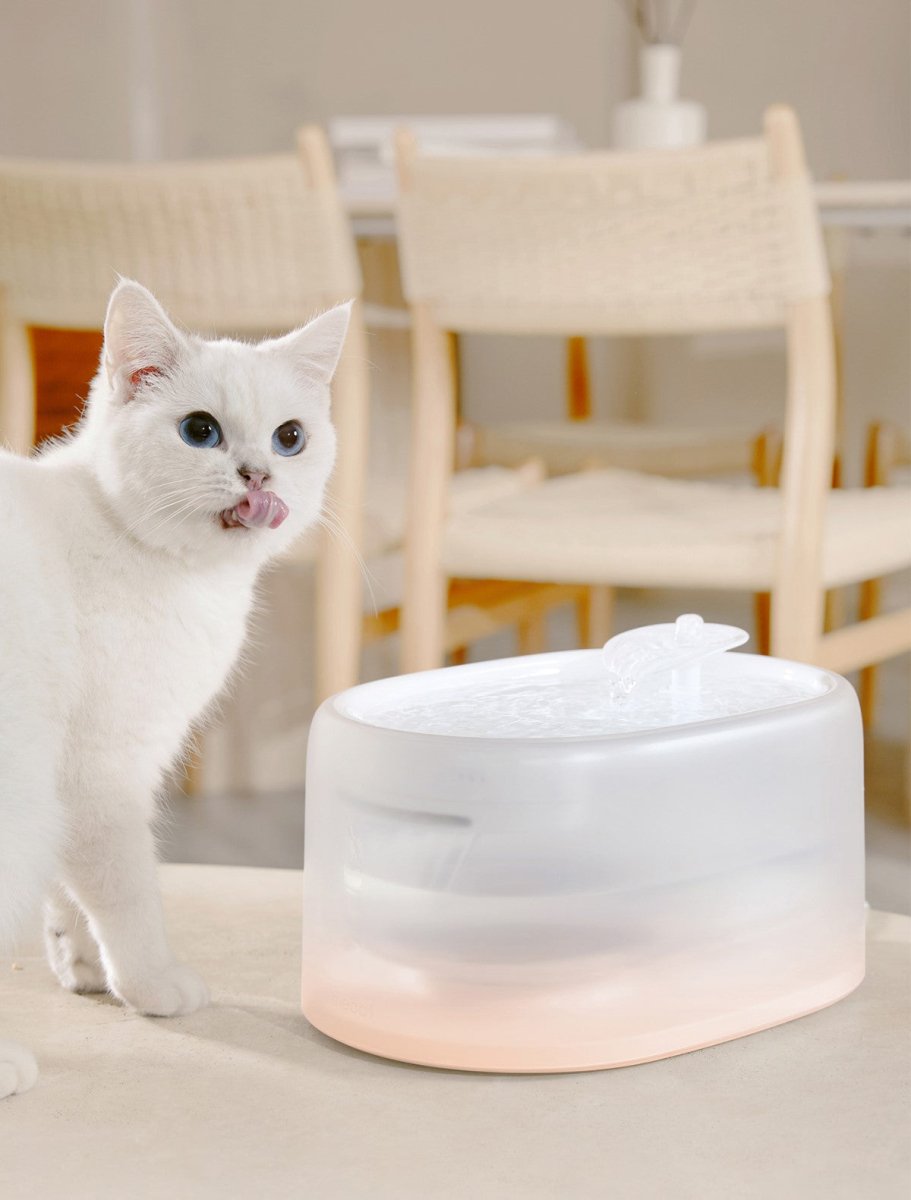 Smart UVC Sterilizing Heated Cat Water Fountain-1