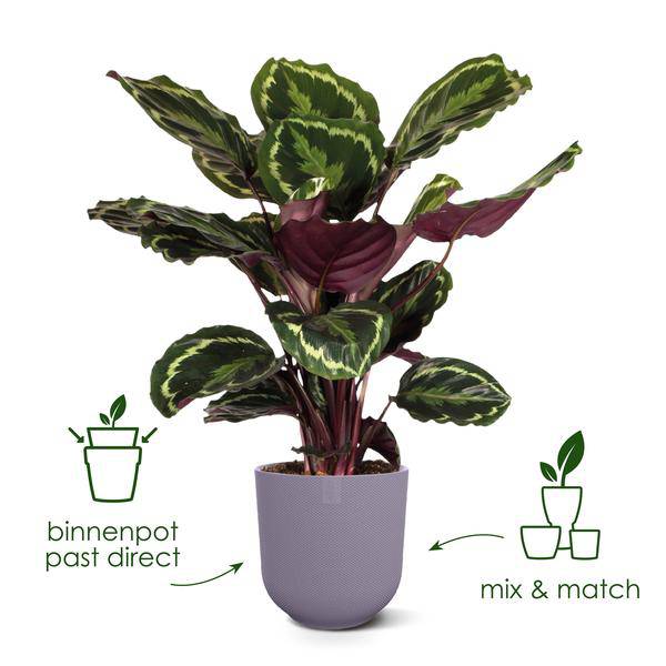 Jazz Pflanztopf Rot – D14 x H13 – Blumentopf für Innen & Außen – Eleganter runder Pflanzkübel aus Kunststoff – Übertopf für Zimmer